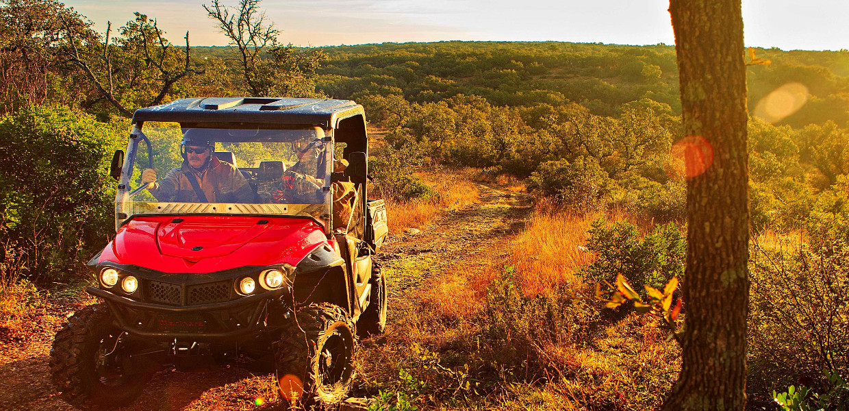 Mahindra